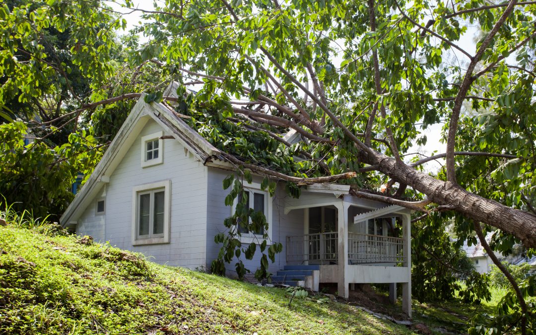 Will an Insurance Company in Florida Treat You Differently if You Have Hurricane Damage Adjusters?