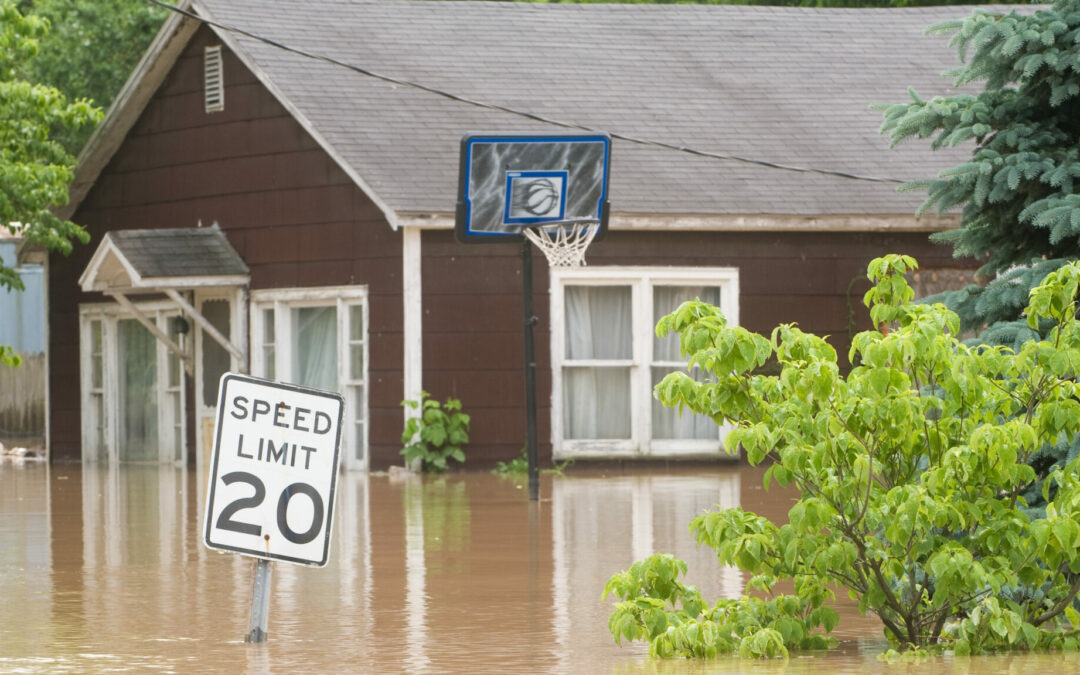 A Florida Public Adjuster Can Help You Get Paid after Your House Was Flooded